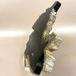 Esté Crystals crystal Sirius Petrified Wood Slab