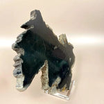 Esté Crystals crystal Sirius Petrified Wood Slab