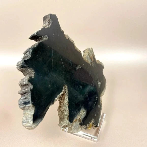 Esté Crystals crystal Sirius Petrified Wood Slab
