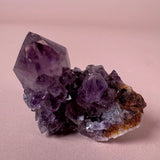 Esté Crystals crystal Spirit Cactus Quartz