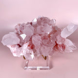 Esté Crystals crystal Statement Pink Himalayan
