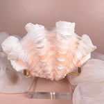 Esté Crystals crystal Tridacna Shell