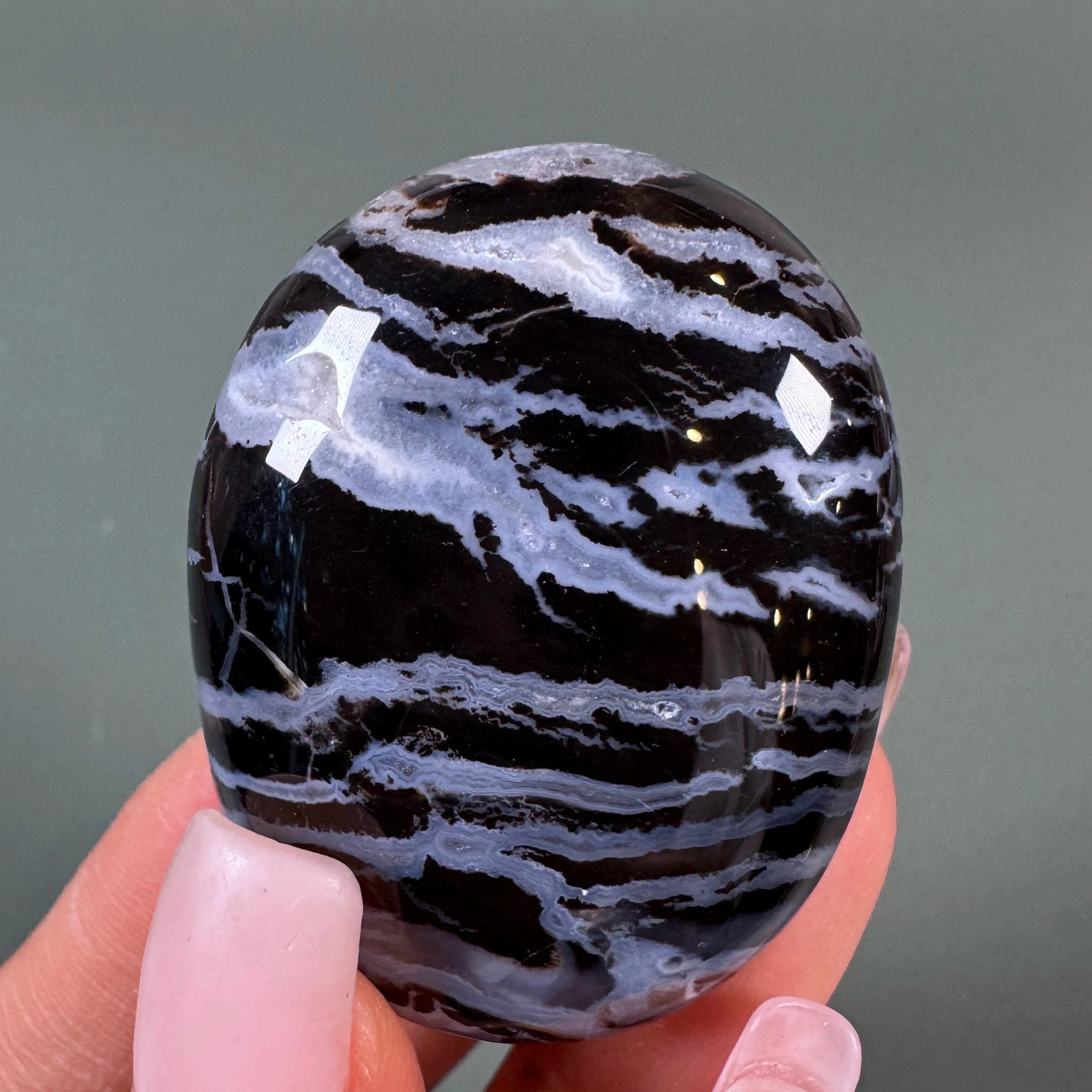 Esté Crystals crystal Zebra Jasper Palm