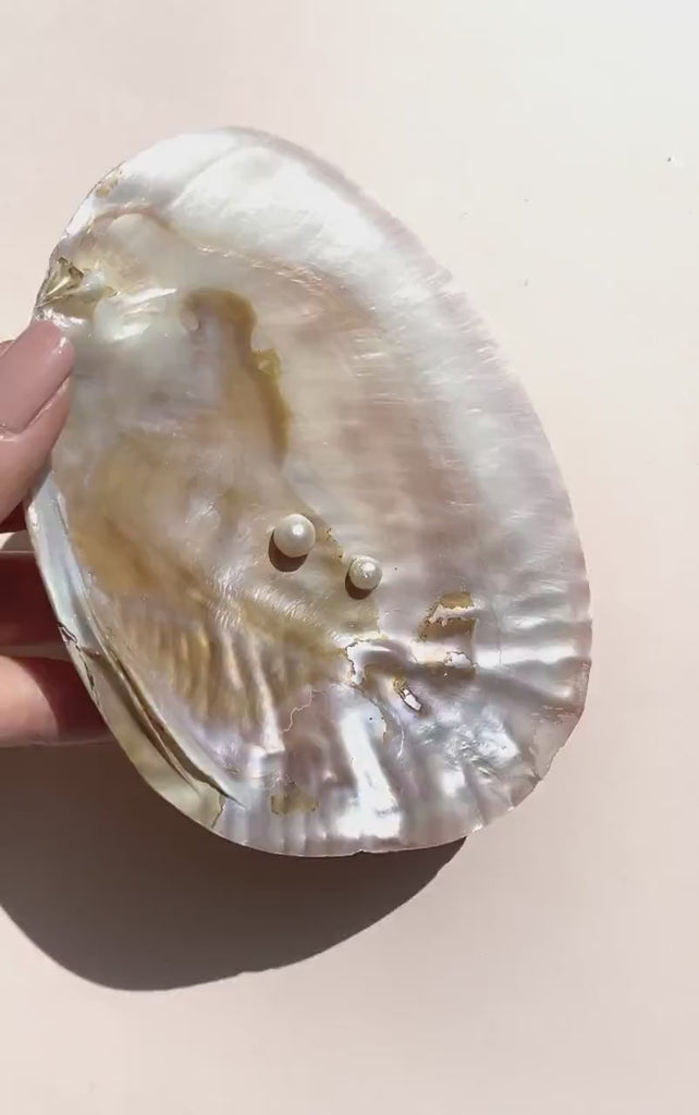 Shell Bowl | Shell Trinket Bowl | Trinket Bowl | Crystal Bowl | Bowl for Crystals | Catch All Bowl