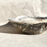 Esté Crystals crystal Chocolate Onyx Bowl