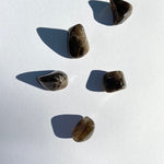 Esté Crystals crystal Smoky Quartz Tumble Stone