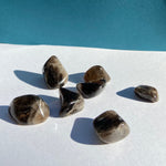 Esté Crystals crystal Smoky Quartz Tumble Stone