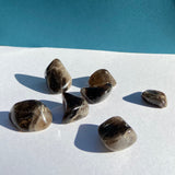 Esté Crystals crystal Smoky Quartz Tumble Stone